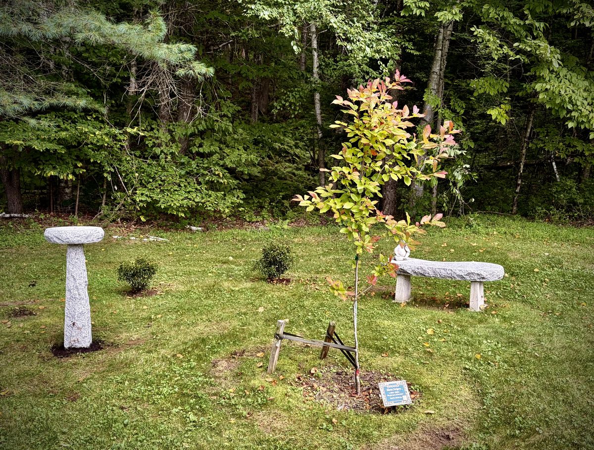 Shane's Memorial Garden, Plainfield NH