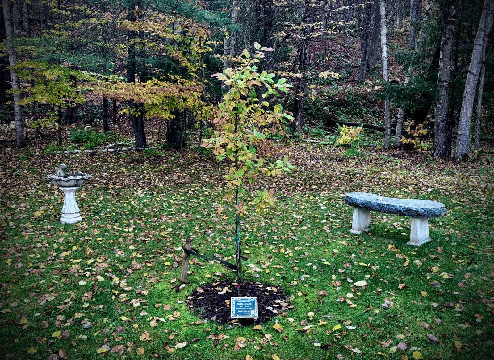 Shane's Memorial Garden, Plainfield NH
